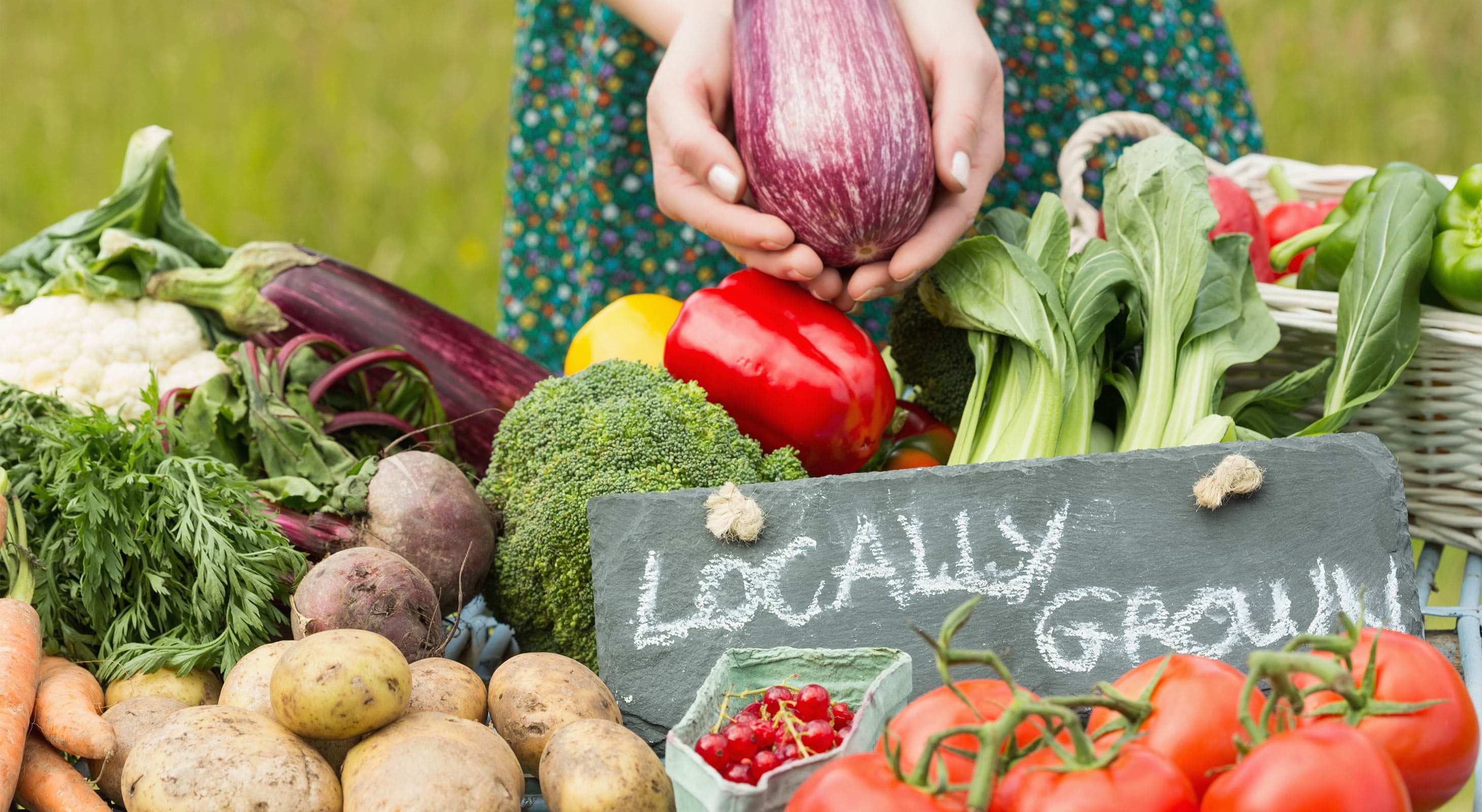 A person holds an eggplant above a variety of fresh, locally grown vegetables on a table. A person holds an eggplant above a variety of fresh, locally grown vegetables on a table.