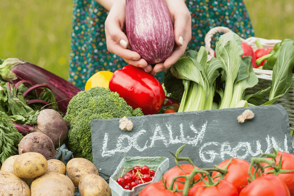 A person holding an eggplant stands among a variety of colorful, locally grown vegetables displayed on a table.