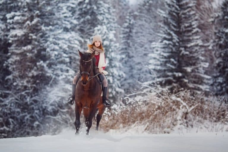 A young woman rides a horse through a snowy forest.