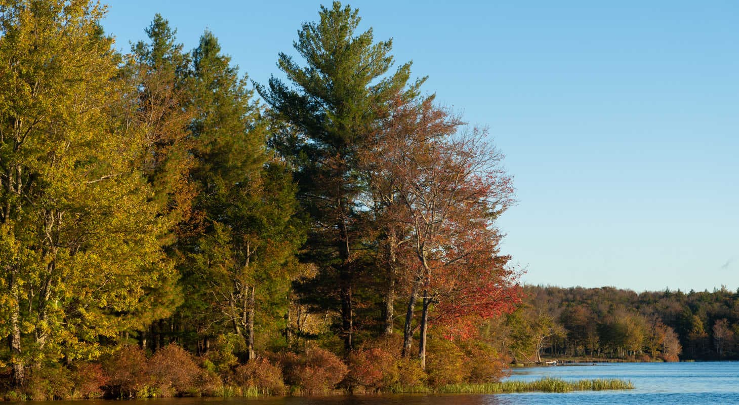 A peaceful lakeshore scene with trees displaying autumn colors under a clear blue sky.