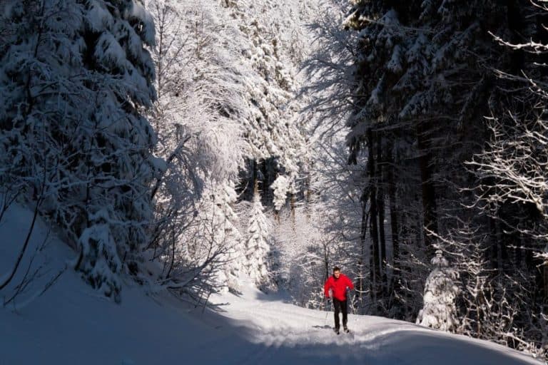 A person in a red jacket skis through a snow-covered forest.