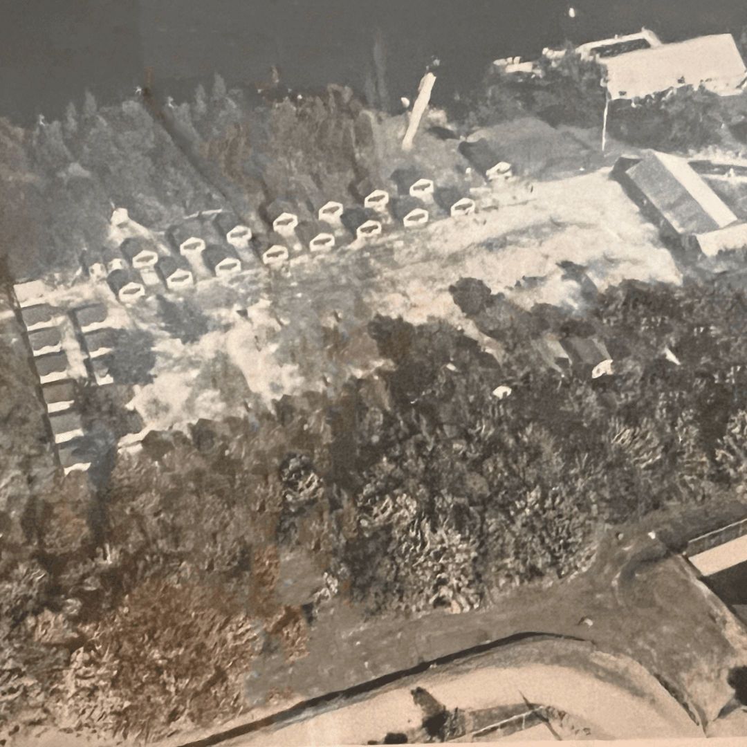 Aerial view of a rural area featuring buildings, trees, and pathways.