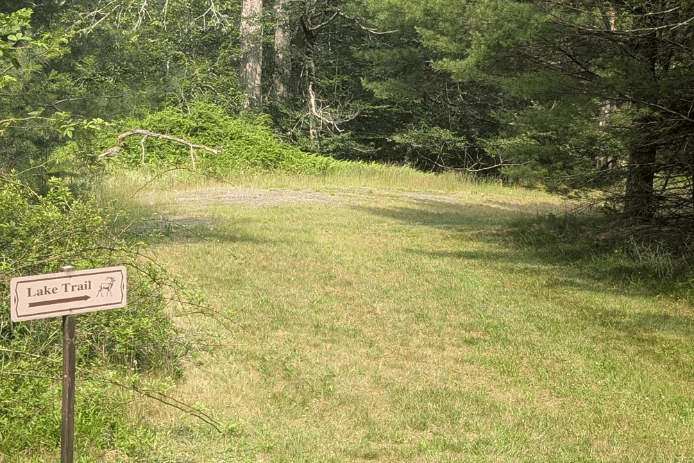 Grassy trail entrance with a "Lake Trail" sign, surrounded by lush green trees and bushes. Sunlight filters through, creating a peaceful, inviting atmosphere.