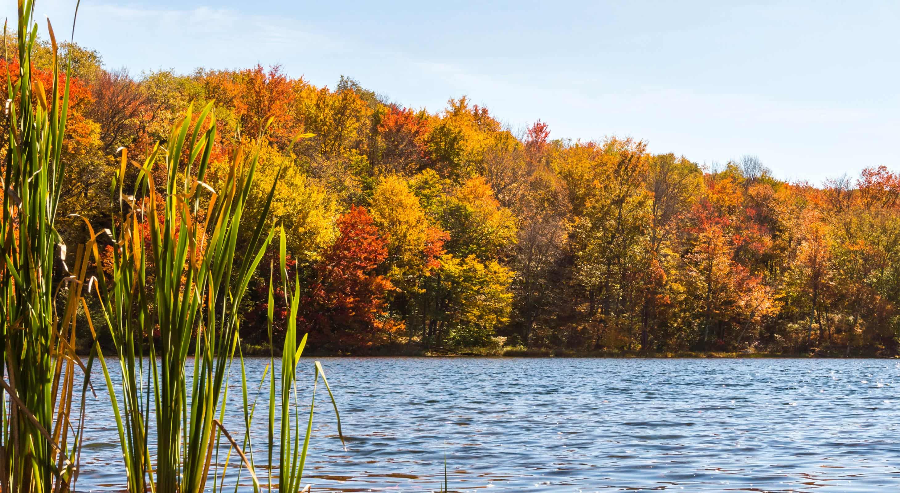 A serene lake surrounded by vibrant autumn foliage.