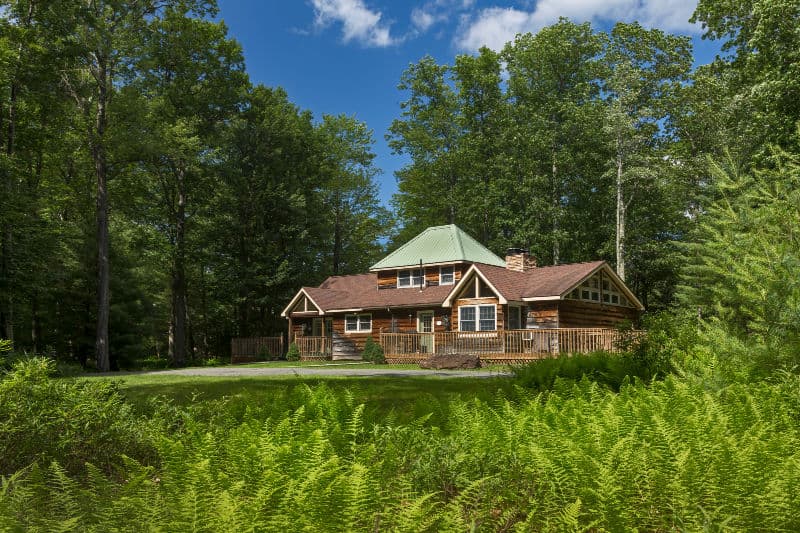 A log cabin with a green metal roof surrounded by lush trees and ferns.