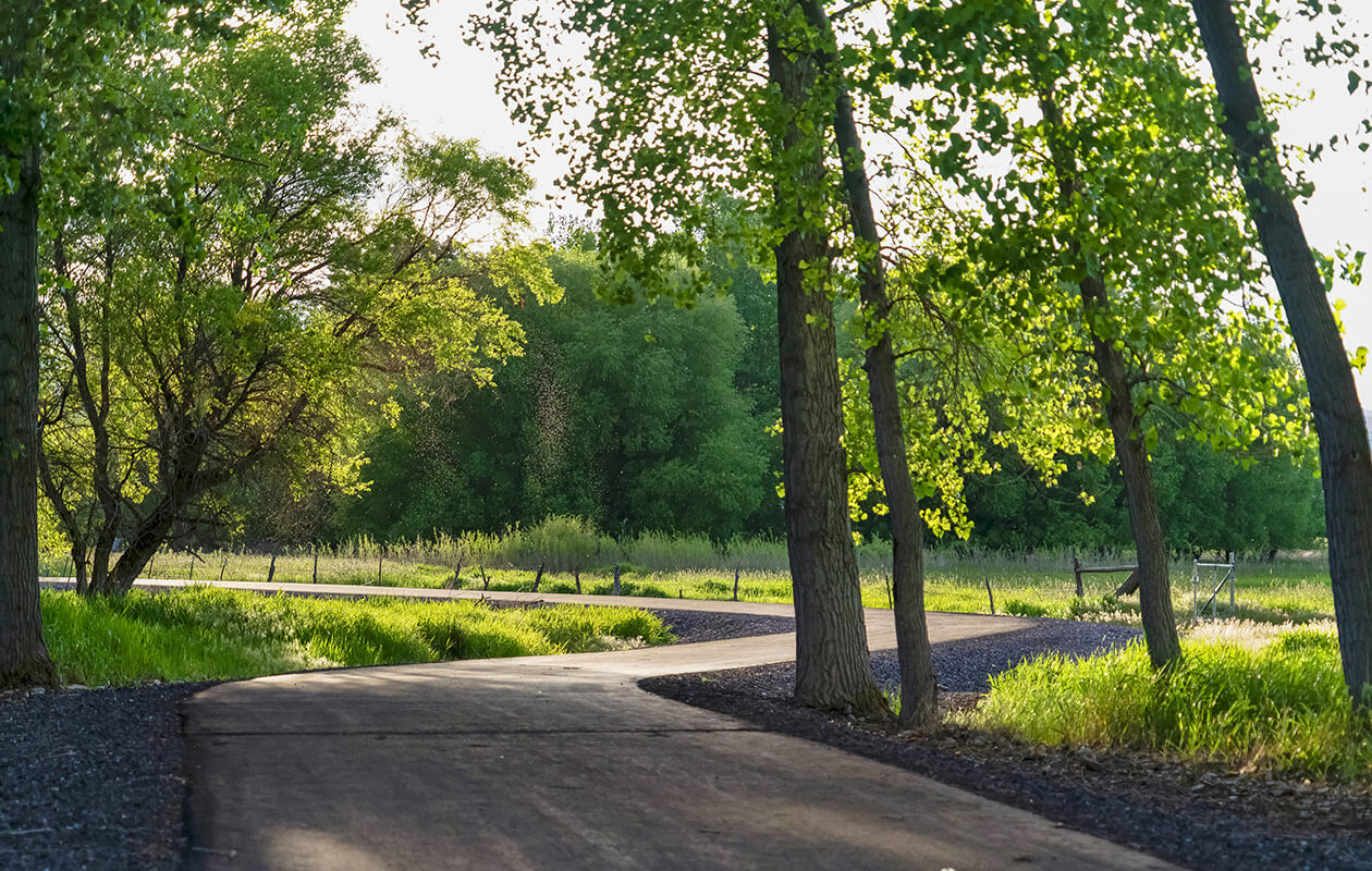 Scenic road