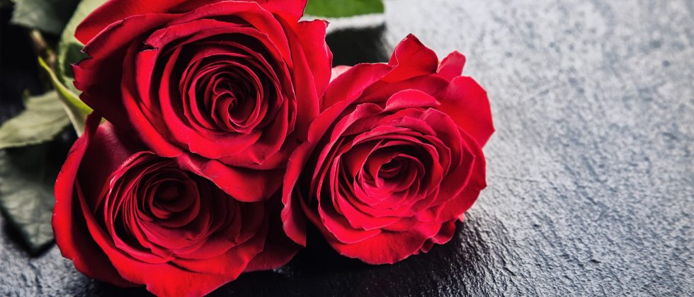 Red Roses