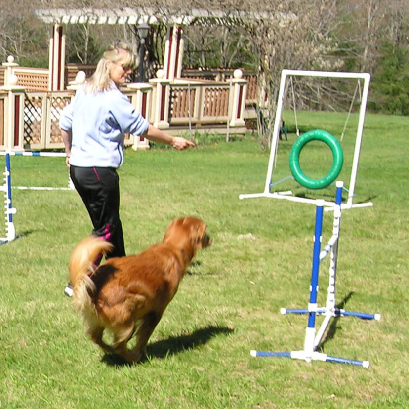 Dog Jump 2